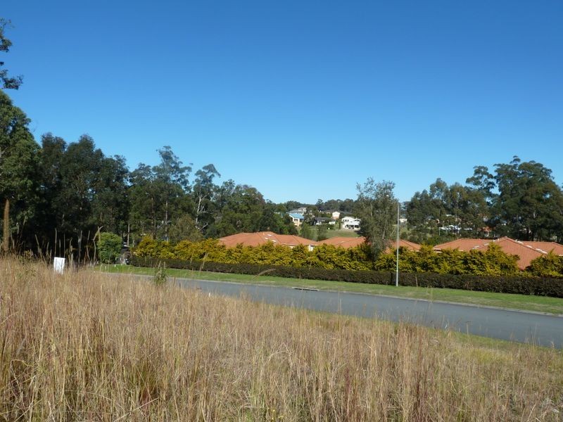 19 Hilltop Parkway, Tallwoods Village NSW 2430