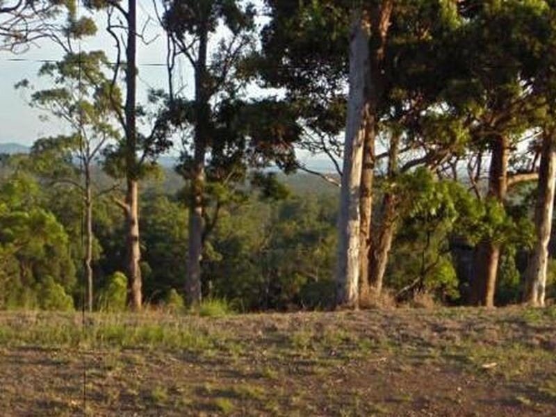 Lot 927 (1 Eastern Valley Way, Tallwoods Village NSW 2430