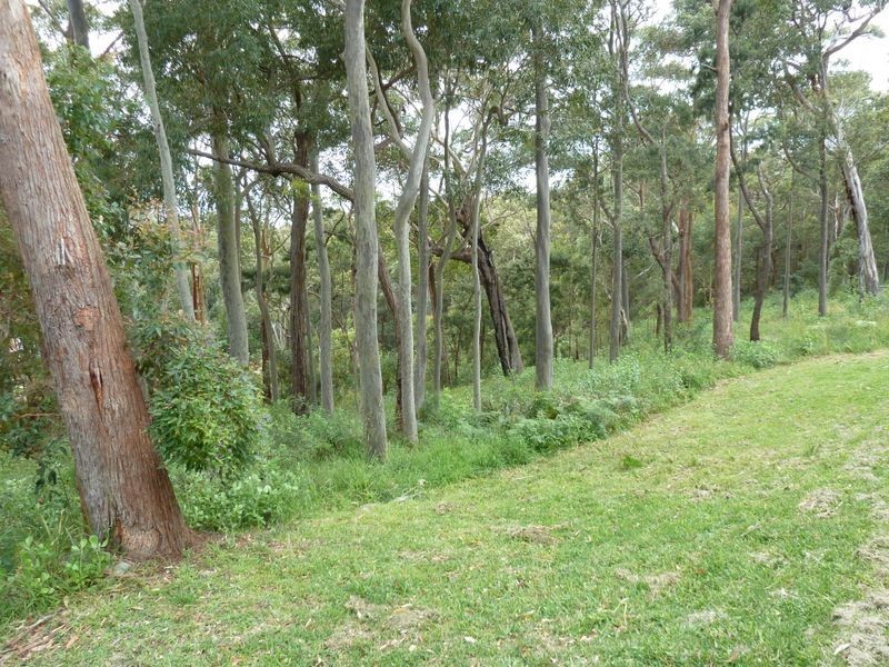 25 Ridgeline Court ‘Palmtops Estate’, Elizabeth Beach NSW 2428