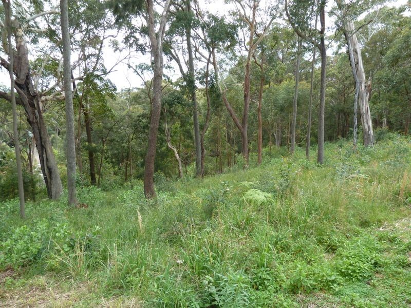 25 Ridgeline Court ‘Palmtops Estate’, Elizabeth Beach NSW 2428