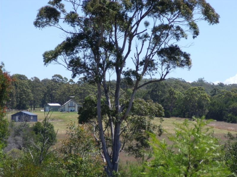 414 Tallwood Drive, Rainbow Flat NSW 2430