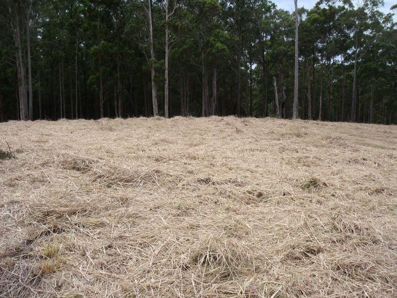 5 Belgraiv Road, Red Head NSW 2430