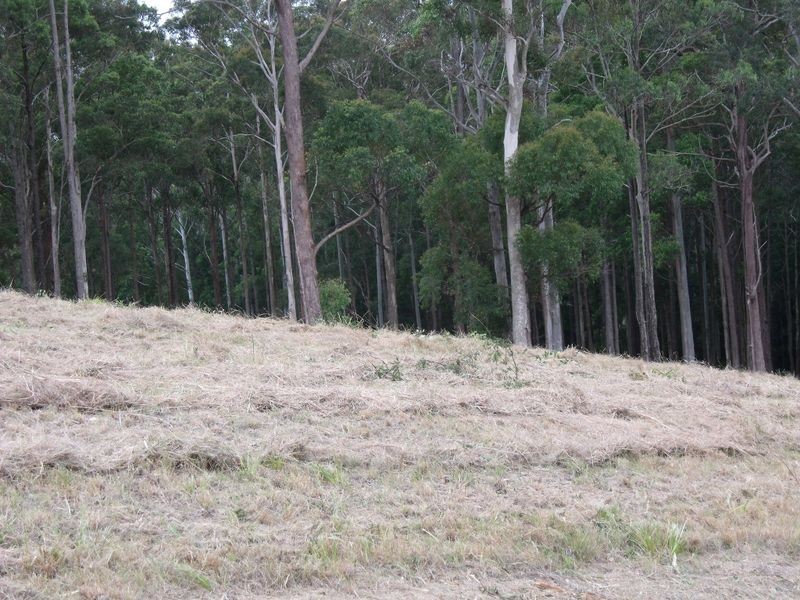 3 Belgraiv Road, Red Head NSW 2430