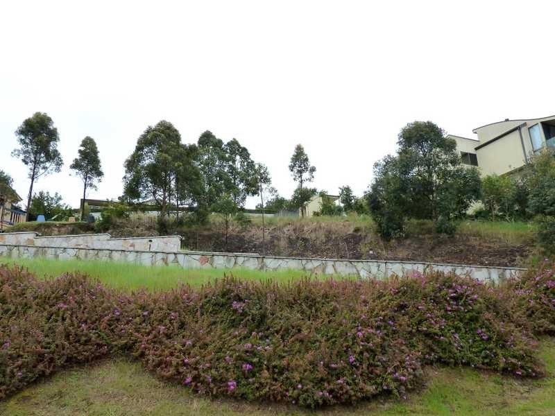 11 The Knoll, Tallwoods Village NSW 2430