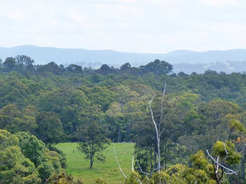 11 The Knoll, Tallwoods Village NSW 2430