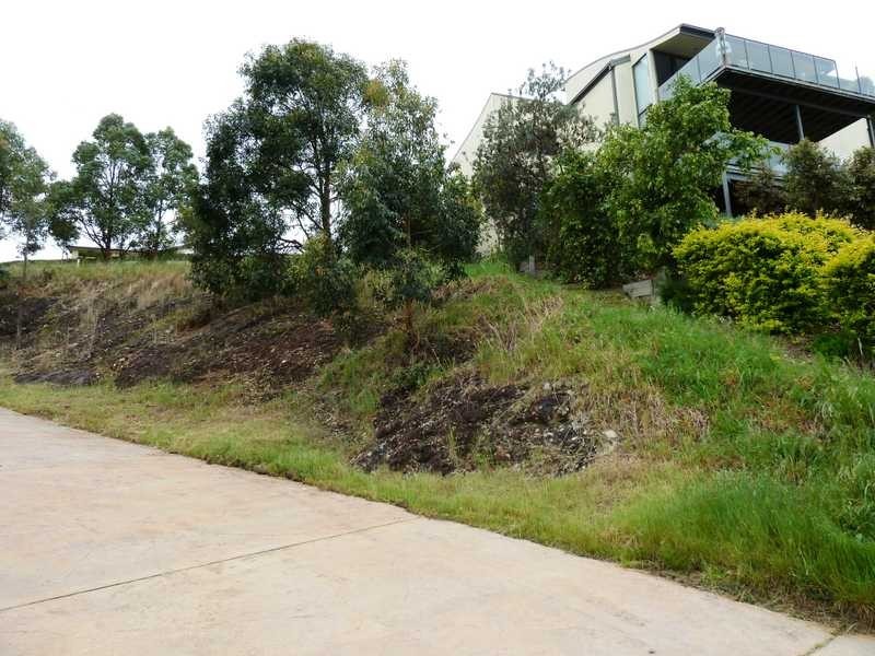 11 The Knoll, Tallwoods Village NSW 2430