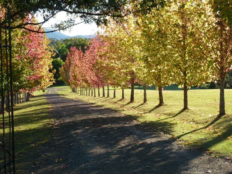 1523 The Lakesway, Rainbow Flat NSW 2430