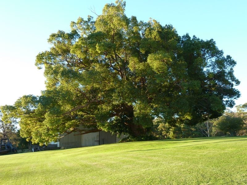 1523 The Lakesway, Rainbow Flat NSW 2430