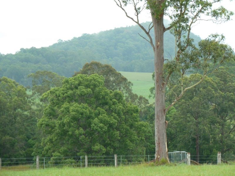 80 Dargavilles Road, Nabiac NSW 2312