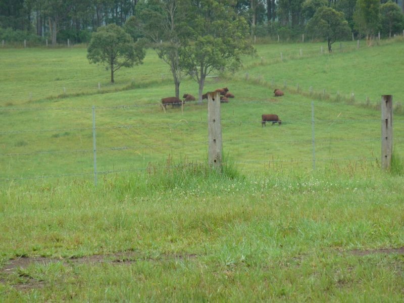 80 Dargavilles Road, Nabiac NSW 2312