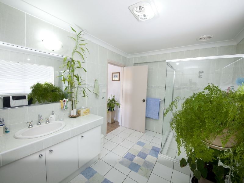 66 Taree Street, Tuncurry NSW 2428