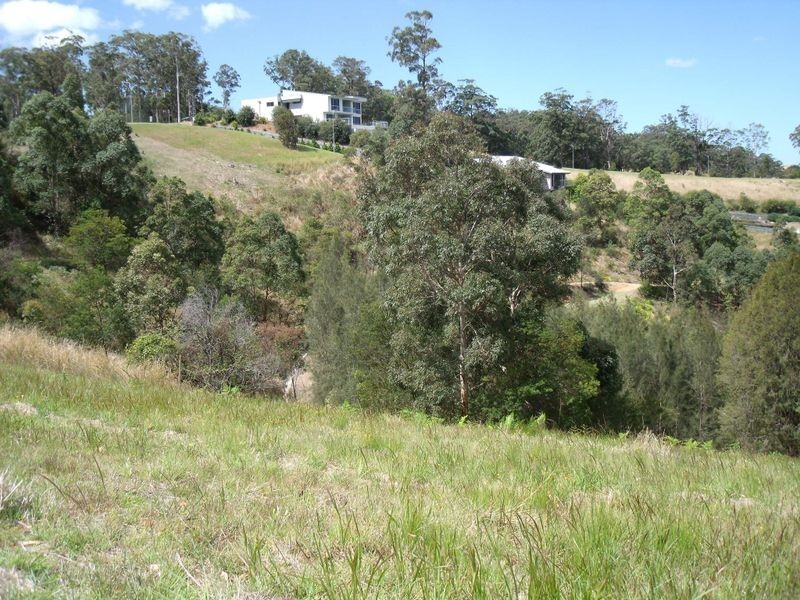 Lot 115 Hilltop Parkway ‘Tallwoods’, Tallwoods Village NSW 2430