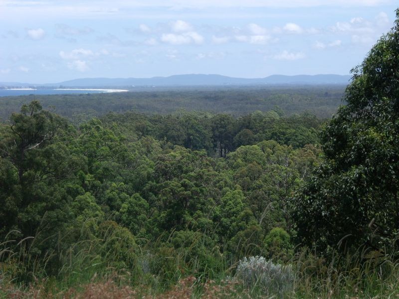 21 (Lot 92 Eastern Valley Way, Tallwoods Village NSW 2430