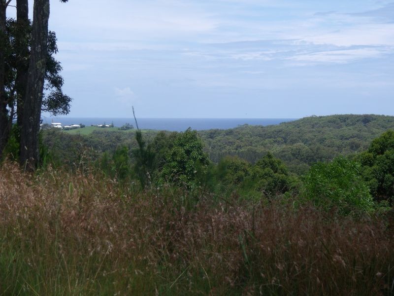 21 (Lot 92 Eastern Valley Way, Tallwoods Village NSW 2430