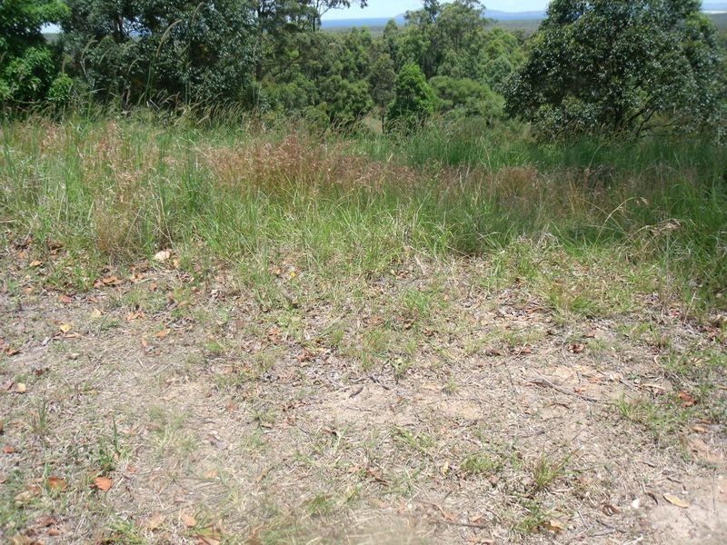 21 (Lot 92 Eastern Valley Way, Tallwoods Village NSW 2430