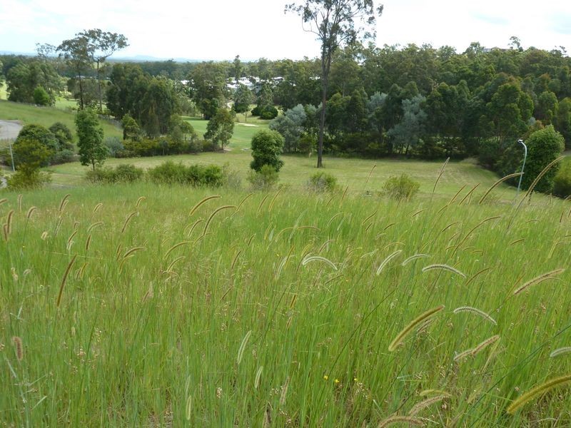 17 (Lot 75 St Andrews Court, Bohnock NSW 2430