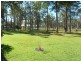66 Blackbutt Drive, Failford NSW 2430
