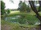 189 Bullocky Way, Failford NSW 2430
