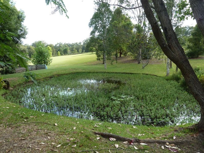 189 Bullocky Way, Failford NSW 2430