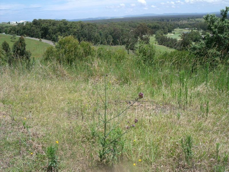 24 (Lot 75 St Andrews Court, Tallwoods Village NSW 2430