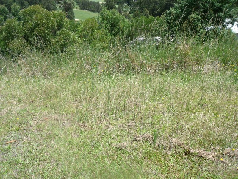 24 (Lot 75 St Andrews Court, Tallwoods Village NSW 2430