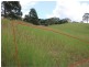 24 Illusions Court, Tallwoods Village NSW 2430
