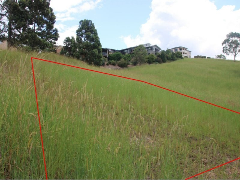 24 Illusions Court, Tallwoods Village NSW 2430