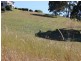 24 Illusions Court, Tallwoods Village NSW 2430
