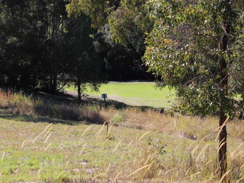 24 Illusions Court, Tallwoods Village NSW 2430