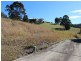 24 Illusions Court, Tallwoods Village NSW 2430