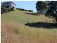 24 Illusions Court, Tallwoods Village NSW 2430