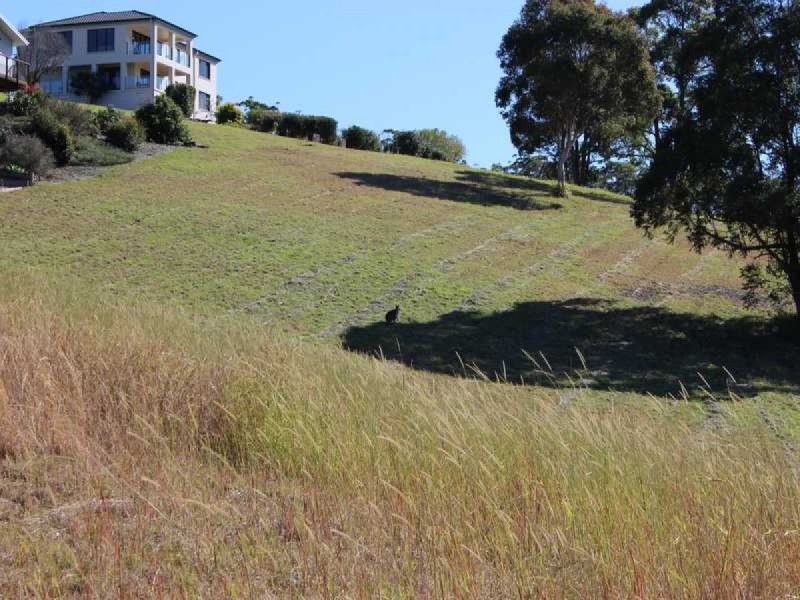 24 Illusions Court, Tallwoods Village NSW 2430