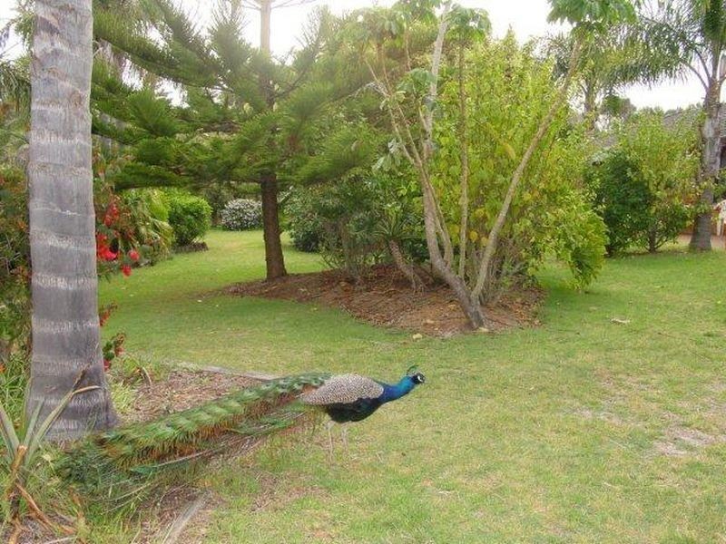 394 Diamond Beach Road, Diamond Beach NSW 2430