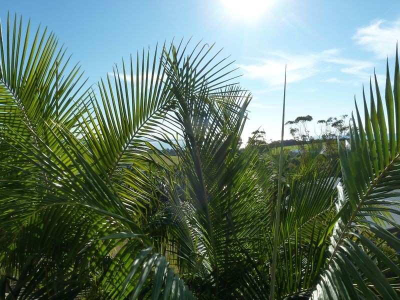 16 Twilight Close, Red Head NSW 2430