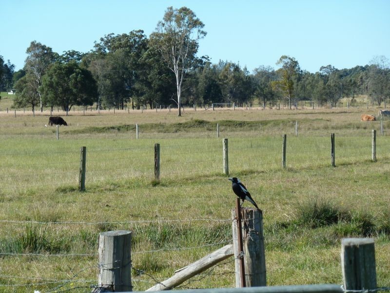 4 Woosters Lane, Nabiac NSW 2312