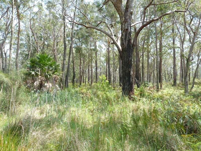 76 Aquatic Road, Darawank NSW 2428