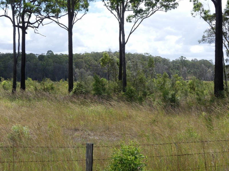 Lot 1 Woodlands Road, Nabiac NSW 2312