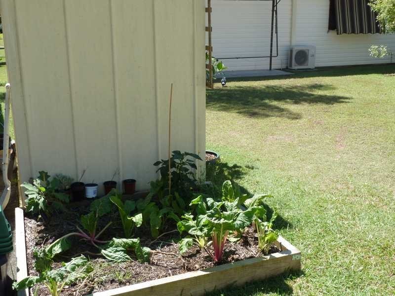 33/12 Goldens Road ‘Polynesian Village’, Forster NSW 2428