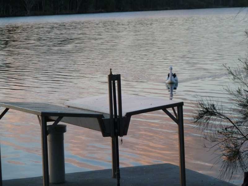 17 Cavill Avenue, Forster NSW 2428