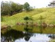 527 Bakers Creek Road, Belbora NSW 2422