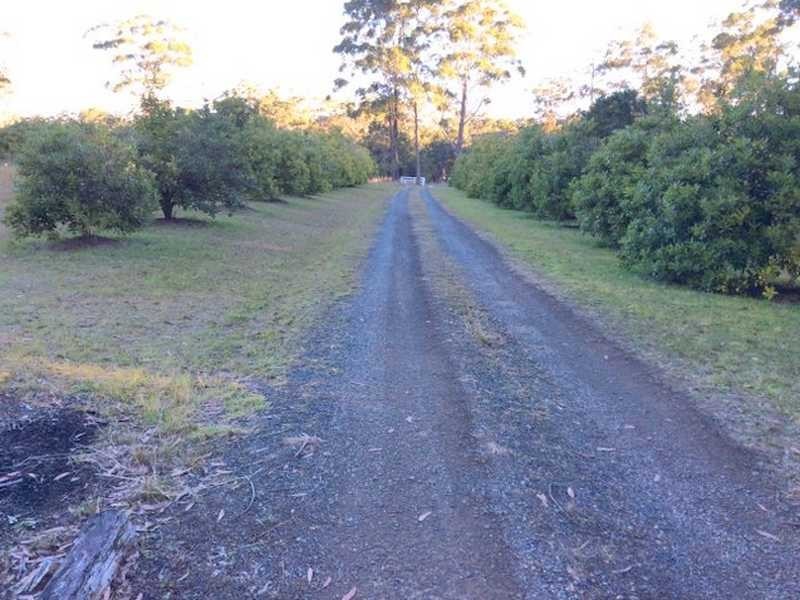 323 Blackhead Road, Hallidays Point NSW 2430