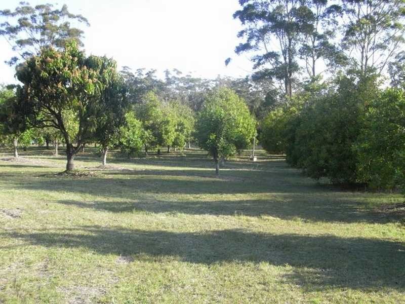 323 Blackhead Road, Hallidays Point NSW 2430