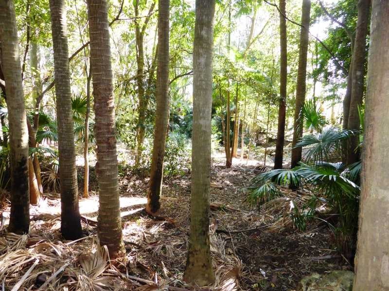 73 Lakeview Crescent, Forster NSW 2428