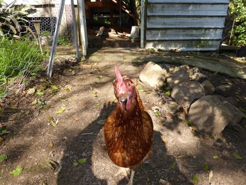 73 Lakeview Crescent, Forster NSW 2428