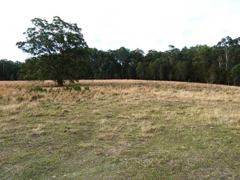 77 83 91 Blackhead Road, Rainbow Flat NSW 2430