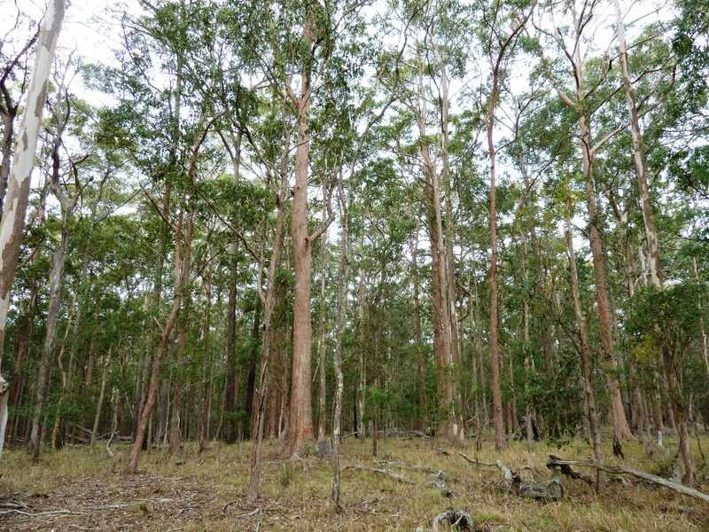 77 83 91 Blackhead Road, Rainbow Flat NSW 2430