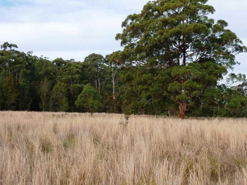 77 83 91 Blackhead Road, Rainbow Flat NSW 2430