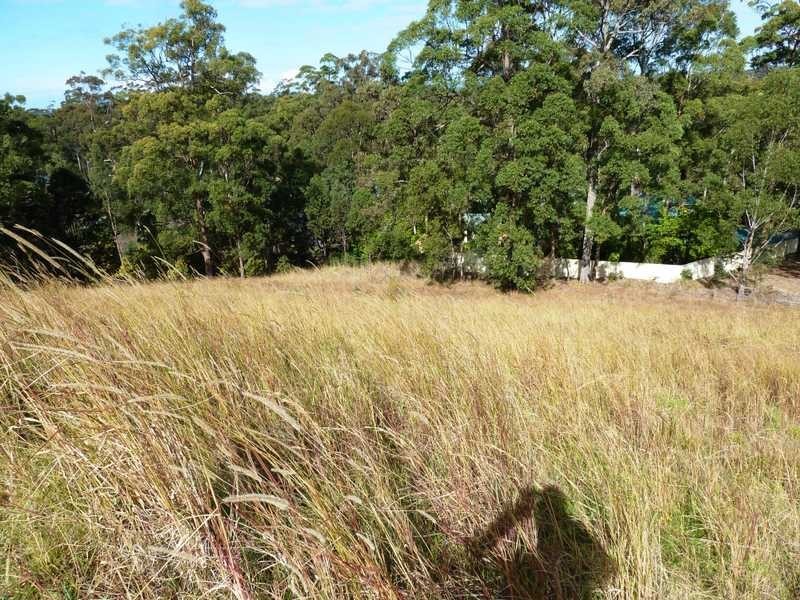 8 The Knoll, Tallwoods Village NSW 2430