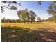 Lot 303 Blackhead Road, Hallidays Point NSW 2430