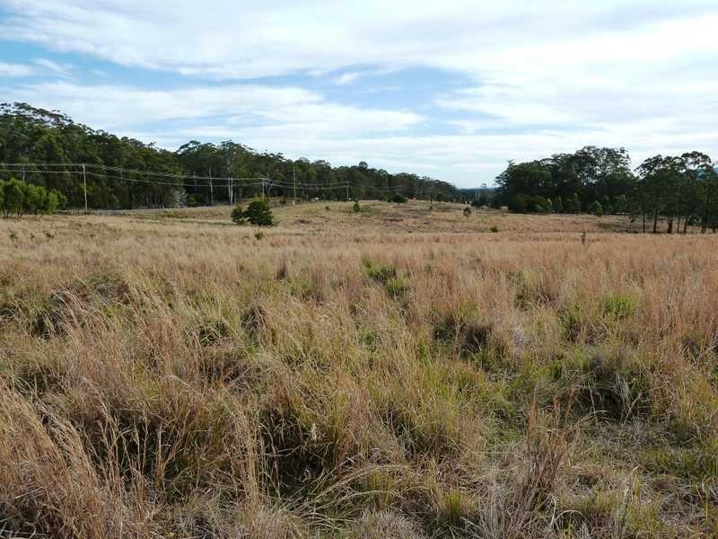 77 83 91 Blackhead Road, Rainbow Flat NSW 2430